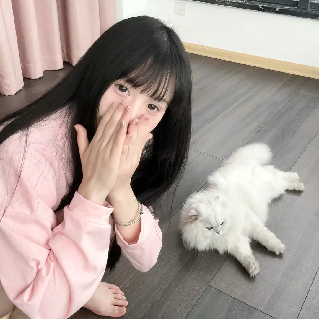 终止战火
